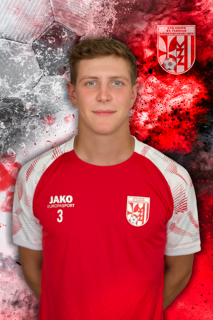 Michael Heibl